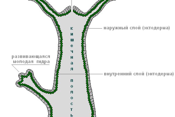 Официальная ссылка на кракен в тор