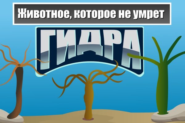 Кракен наркота что это