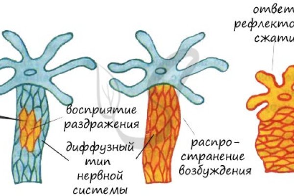 Кракен как войти