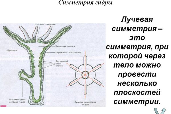 Кракен оф сайт